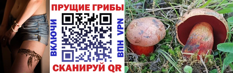 Купить  Белоярский  Псилоцибиновые грибы мухоморы 